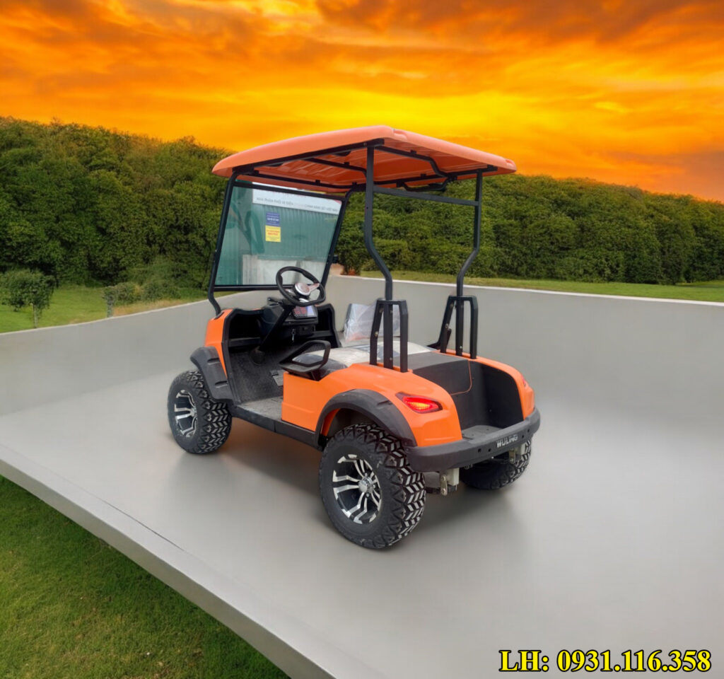Xe điện chạy trong sân golf 2 chỗ