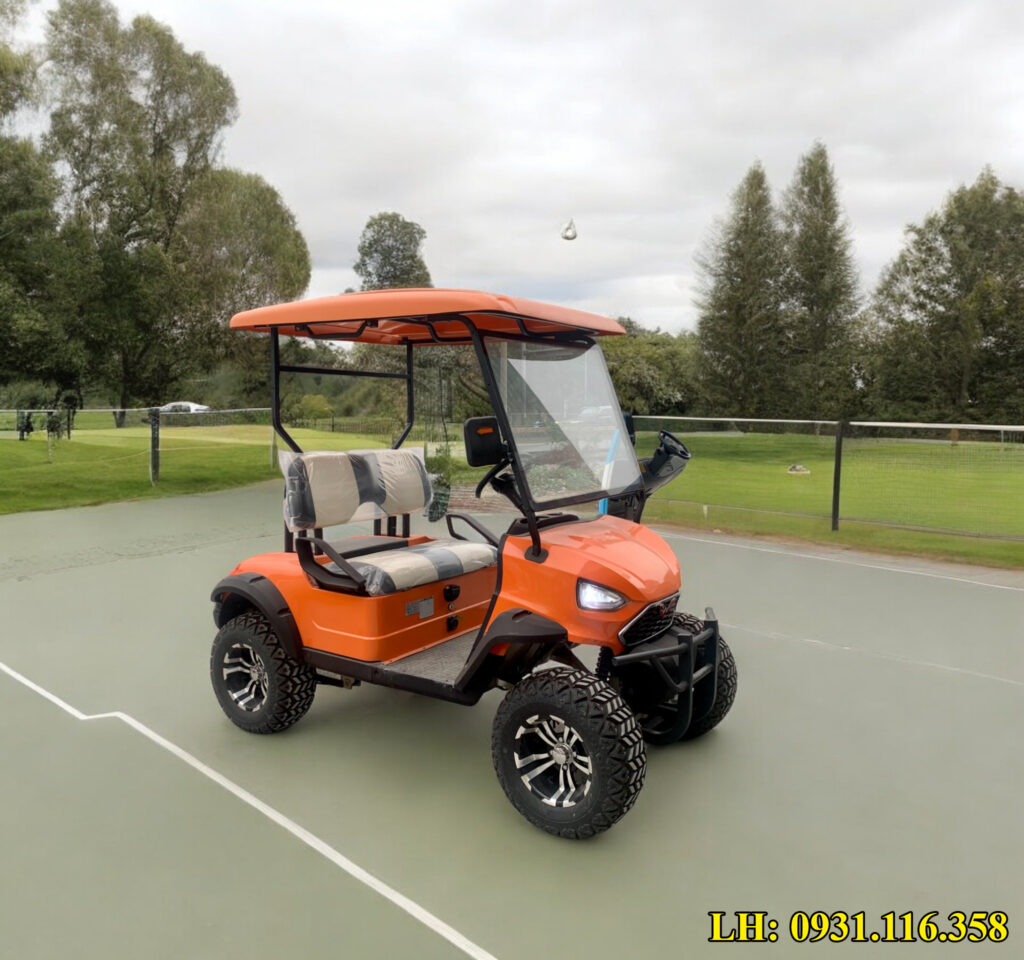 xe điện sân golf 2 chỗ