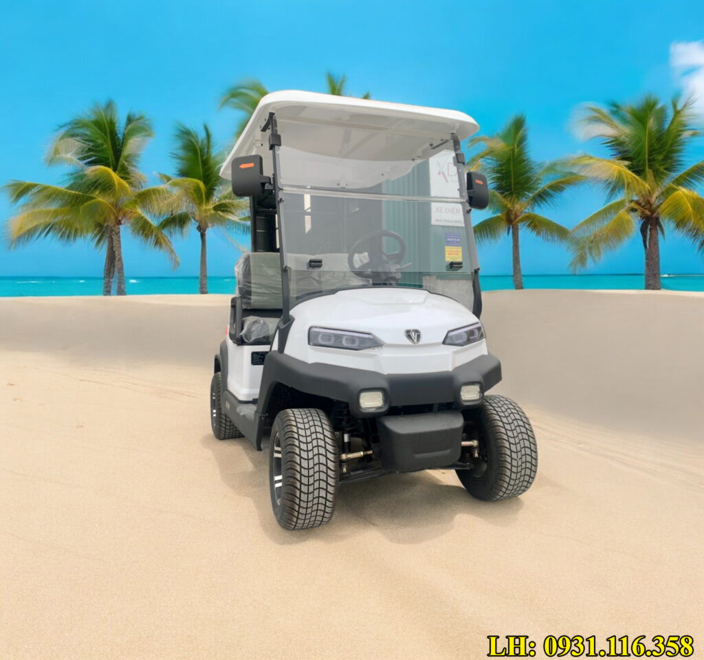 Xe điện buggy 2 chỗ