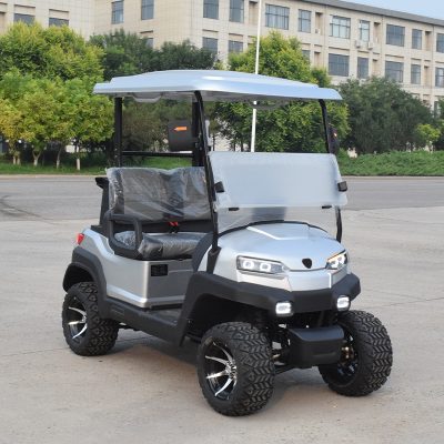 Xe điện sân golf 2 chỗ nhập khẩu thương hiệu ZYCAR chính hãng – Model Z2