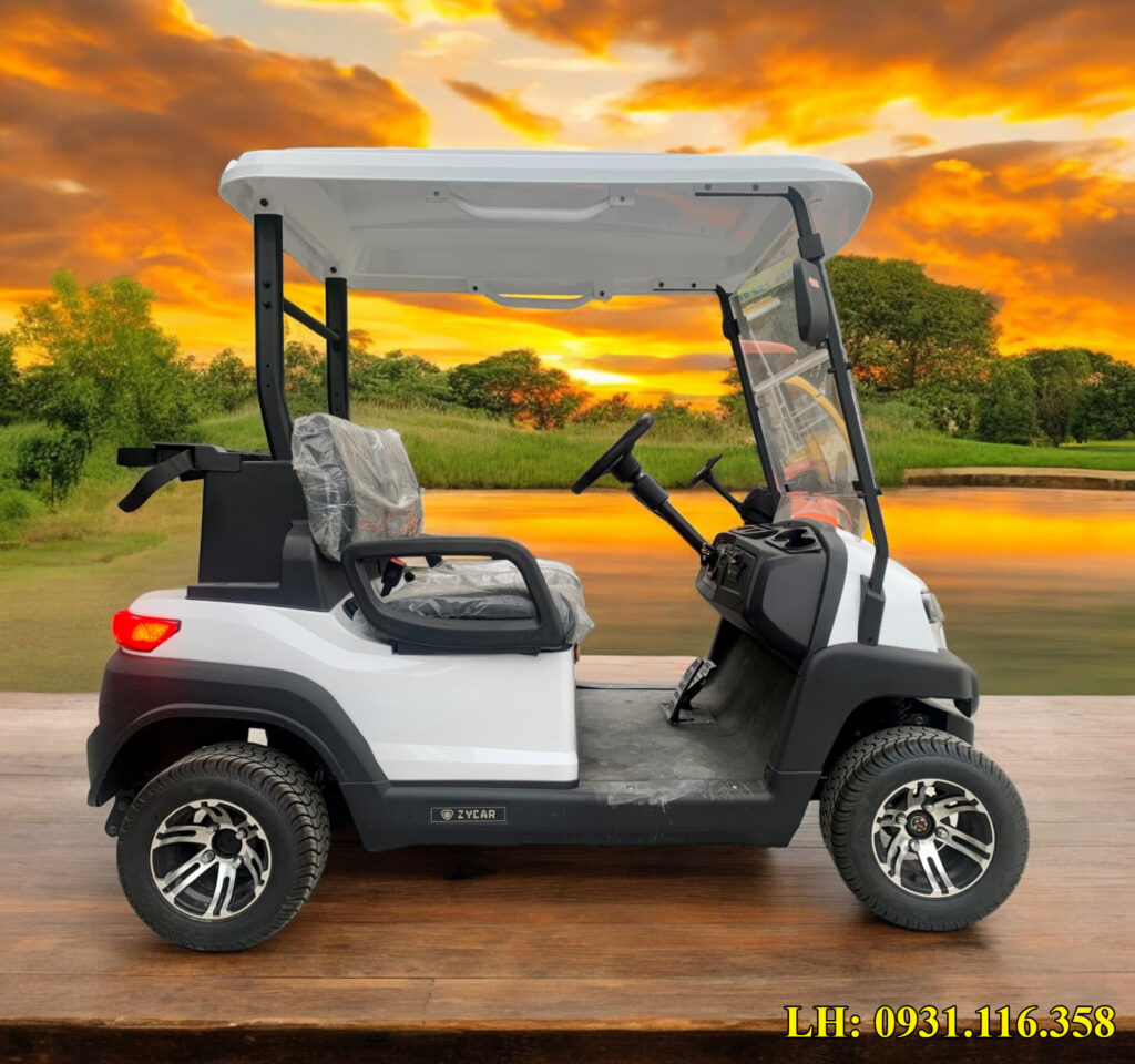 Xe buggy 2 chỗ