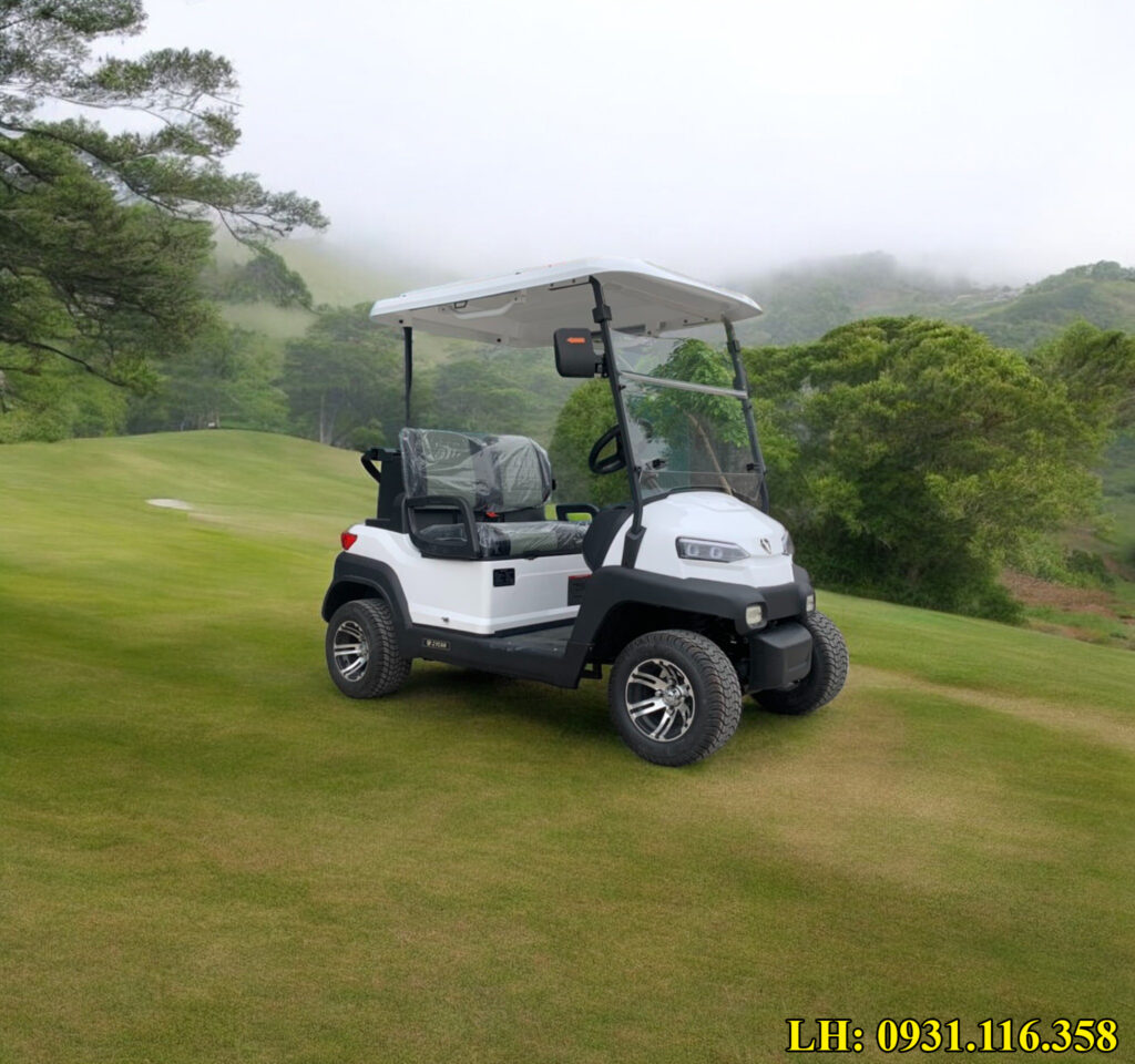 Xe điện chạy trong sân golf 2 chỗ