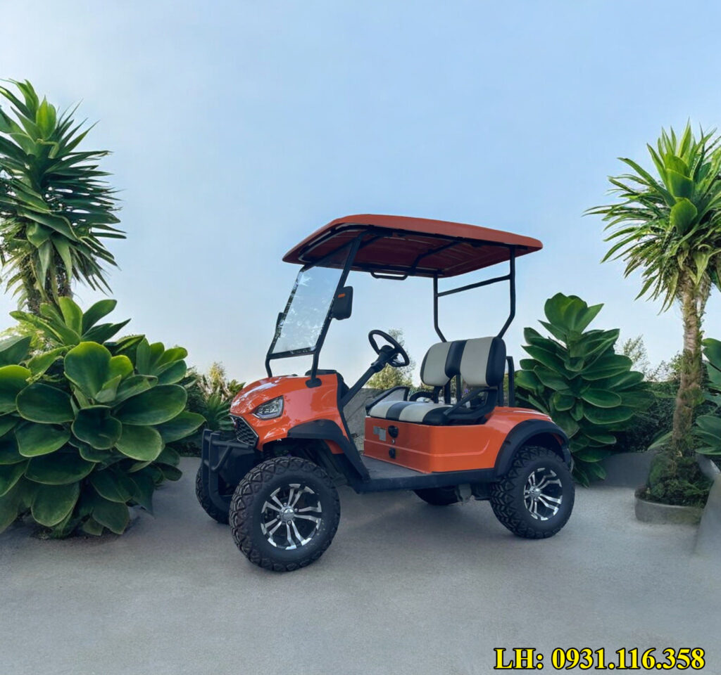 Xe điện sân golf 2 chỗ