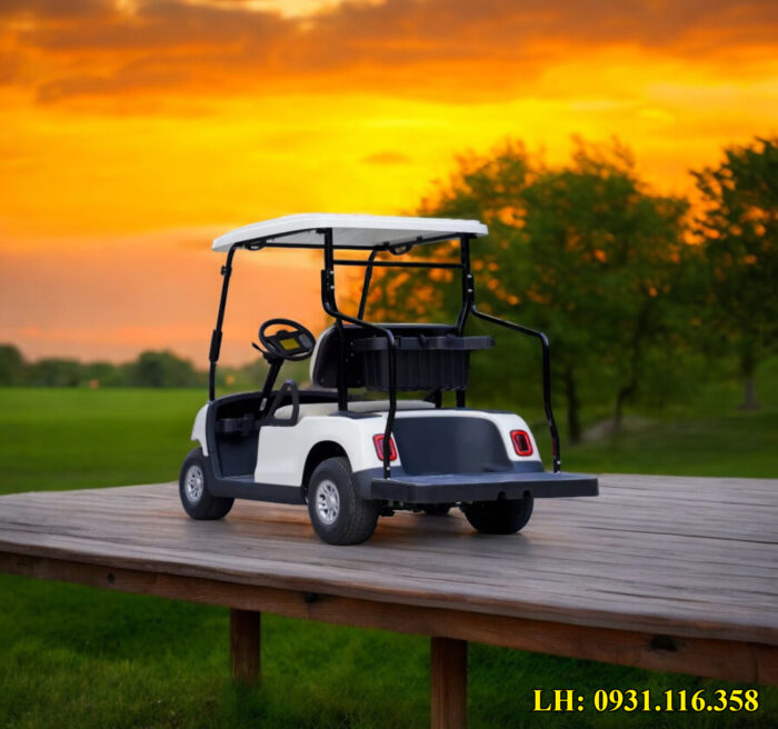 Xe điện sân golf 2 chỗ WULING