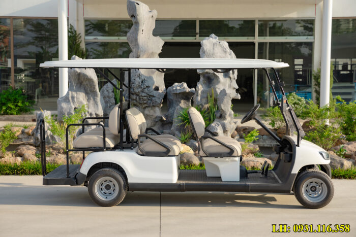 xe điện sân golf tại Đồng Nai