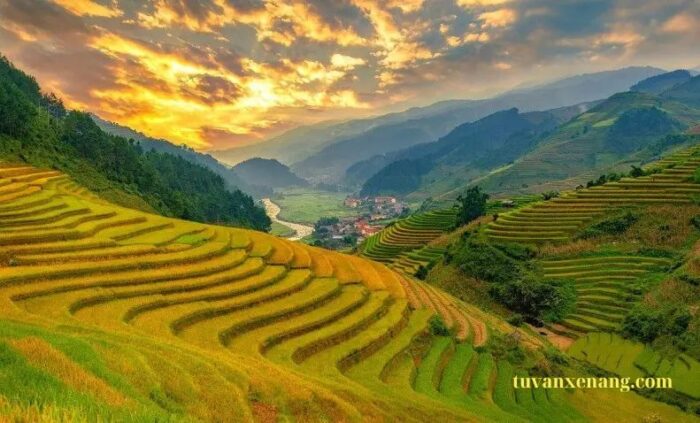 Mua bán xe điện tại Yên Bái
