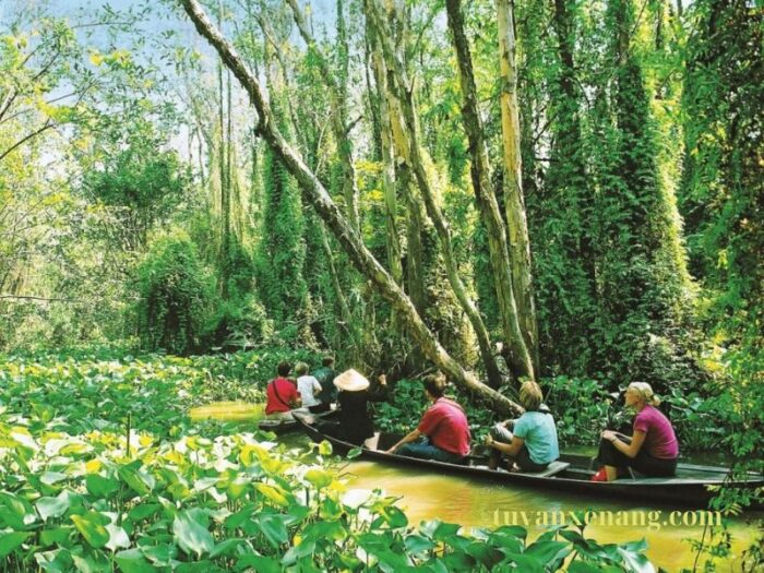 mua bán và cho thuê xe điện du lịch tại Đồng Tháp