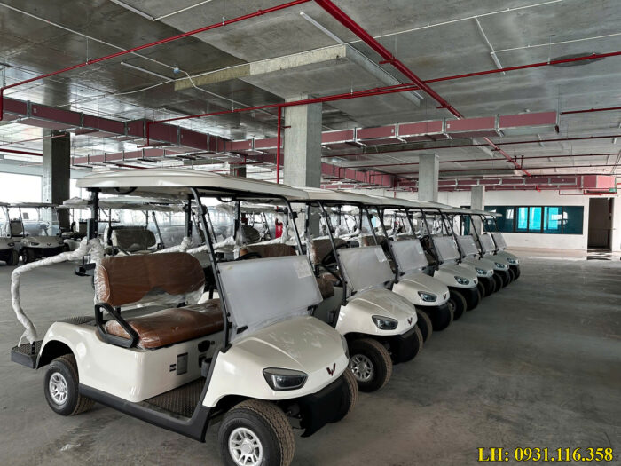 Xe điện sân golf 2 chỗ