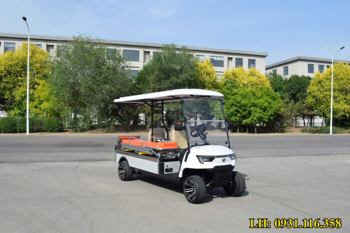 xe điện chở bệnh nhân thương hiệu ZYCAR