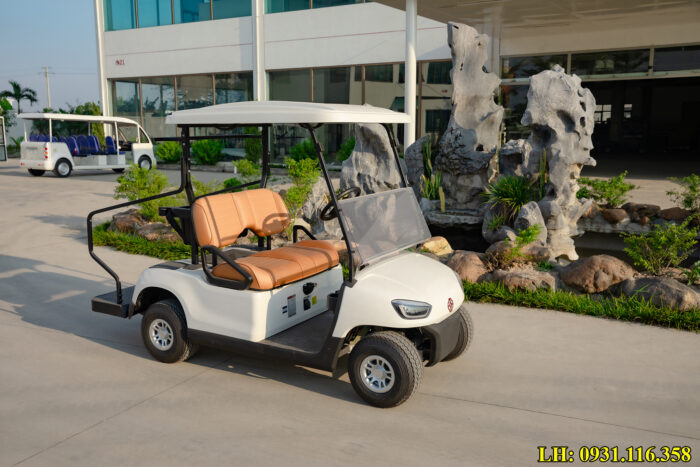 Xe điện sân golf 2 chỗ