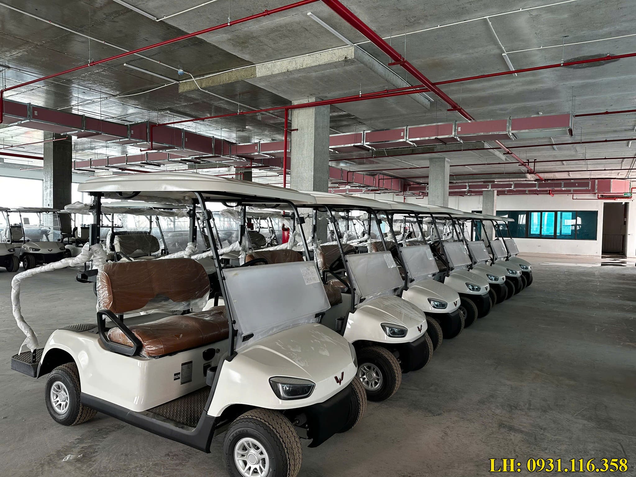 xe điện sân golf 2 chỗ