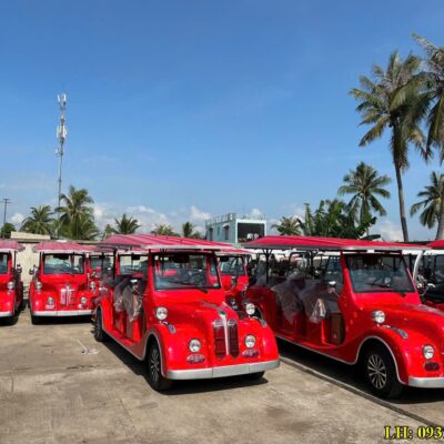 Xe điện kiểu dáng cổ thương hiệu LVTONG nhập khẩu nguyên chiếc